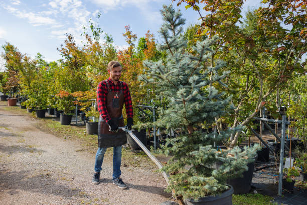 Best Commercial Tree Services  in Middlefield, OH